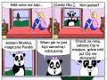Zła panda