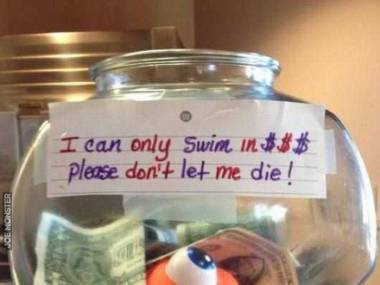 "Potrafię pływać tylko w dolarach. Nie pozwól mi umrzeć."