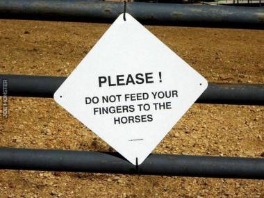 "Prosimy nie karmić koni własnymi palcami"
