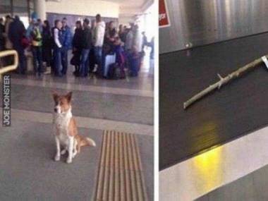 Cierpliwie czekał na swój bagaż