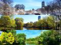 Cztery pory roku w Bostonie