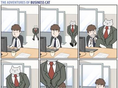 Kot w biznesie
