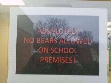"Niedźwiedziom do szkoły wstęp wzbroniony"