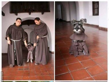 Brazylijscy mnisi przyjęli w swoje szeregi psa