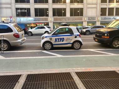 Nowy w stajni nowojorskiej policji