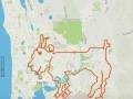 Przejechał 202 km, żeby narysować GPSem kozę