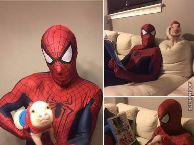 Spiderman i jego nowy pomocnik