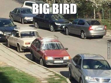Wielki Ptak tu był