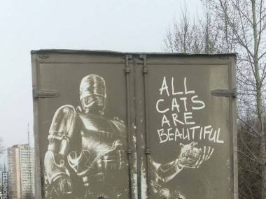 Wszystkie koty są piękne
