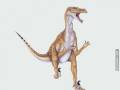 Skąd się wzięła nazwa velociraptora