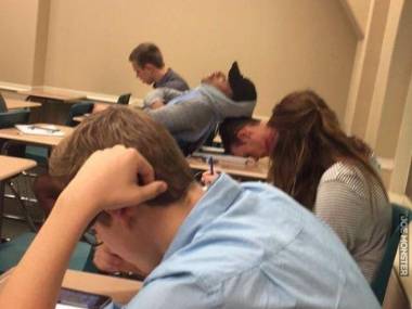 Spanie w teamie na wykładzie