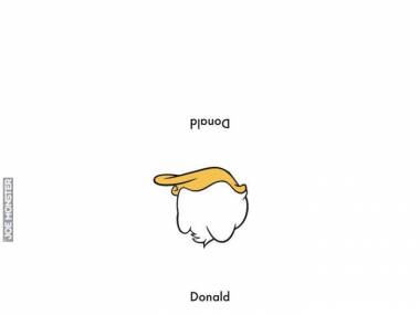 Donald z góry, Donald z dołu