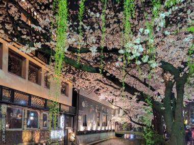 Kyoto nocą