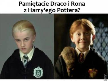 Pamiętacie Draco i Rona?