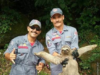 Dwaj brazylijscy strażnicy uratowali mega zajebistego leniwca
