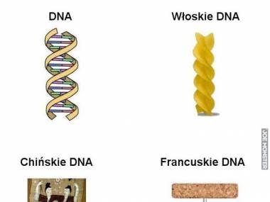 Rodzaje DNA