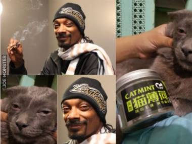 Snoop Dogg to już przesadza z tą kocimiętką