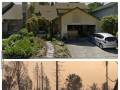 Krajobraz po pożarze w Kalifornii