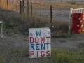 "Nie wypożyczamy świn"