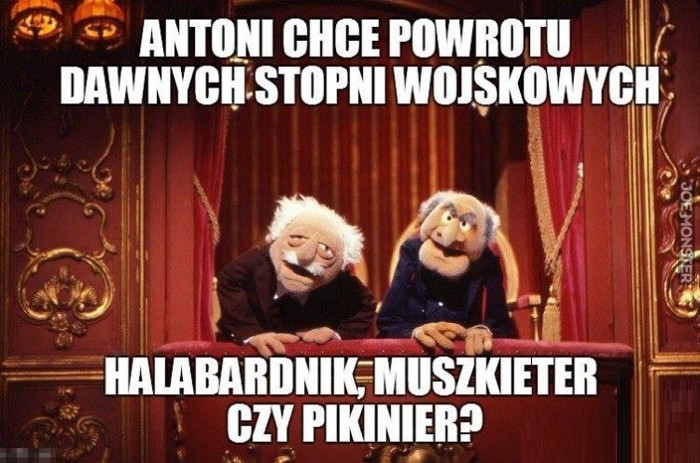 muszkieterowie_w_polskiej_armii_to_byloby_cos.jpg