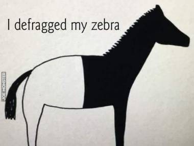 Zebra po defragmentacji