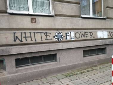 Biały kwiatek na murze zakrył rasistowski napis