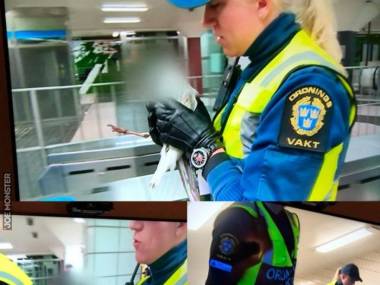 Szwedzka telewizja wypikselowała dziób mewy