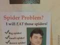 Masz problem z pająkiem? Przyjadę i zjem te pająki