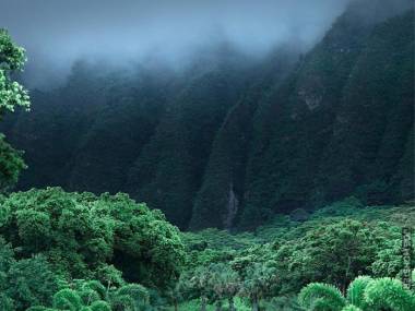 Góry Koolau na Hawajach