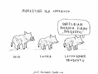 Lekcja marketingu