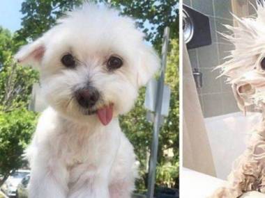 Przed i po kąpieli