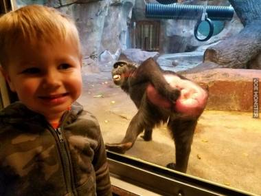 Z małpką w zoo
