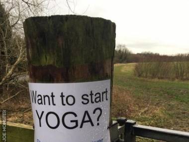 Chcesz zacząć uprawiać jogę? To schyl się i sprzątnij po swoim psie
