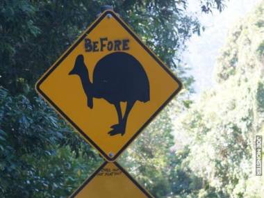 Znak drogowy w Australii