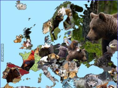 Europejskie kraje i ich najbardziej tradycyjne zwierzęta