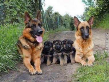 Szczęśliwa rodzinka