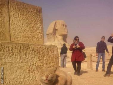 Egipski Sfinks mniejszy