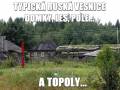 Typowa rosyjska wieś - domy, las, pole... Topole...