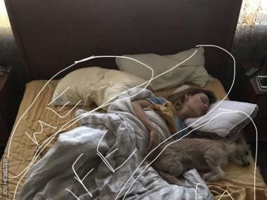 Podział przestrzeni łóżkowej między żonę, psa i mnie