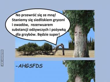 Dialog między drzewami