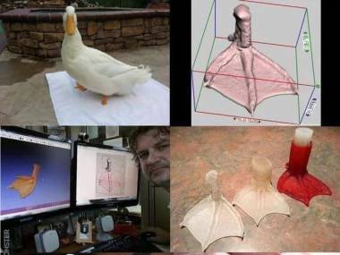 Proteza z drukarki 3D uszczęśliwiła kaczkę