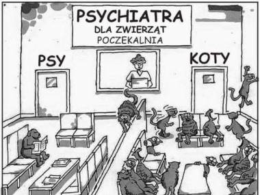 Psychiatra dla zwierząt