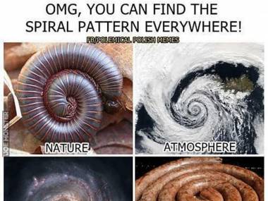 Spirale są wszędzie