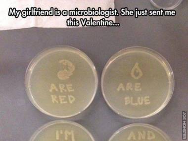 Walentynka od mikrobiologa