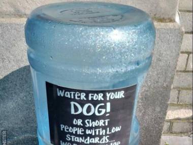 Woda dla psa! Albo dla niskich ludzi o niskich standardach... Nie oceniamy
