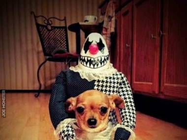 Halloweenowy strój dla psiaka