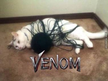 Muszę się w końcu wybrać na tego Venoma, bo wygląda nieźle
