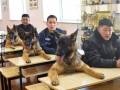 Lekcja w szkole policyjnej