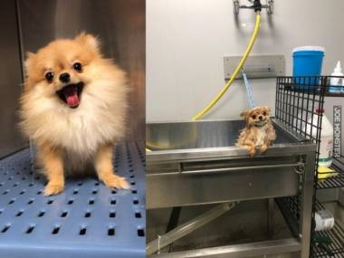 Przed i po kąpieli