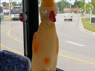 W autobusie popsuły się przyciski, więc kierowca musiał improwizować